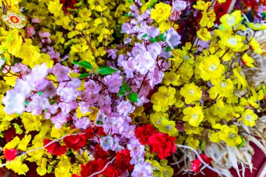 Plastik Hoa Mai ağacı (Ochna Integerrima) çiçeği, Vietnam 'da geleneksel ay yeni yılı (Tet bayramı). Kayısı, bahar bahçesinde parlak sarı çiçekler açar. Seçici odak.