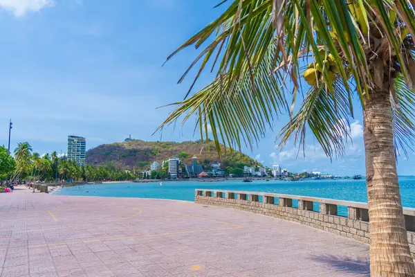 Vung Tau, VIETNAM 4 Mayıs 2024: Vietnam 'da dalgalar, kıyı şeridi, sokaklar, hindistan cevizi ağaçları ve Tao Phung dağları ile panoramik kıyı manzarası. Seyahat kavramı