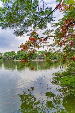 Hoan Kiem Gölü veya Kılıç Gölü, Ho Guom Hanoi 'de, Vietnam Kaplumbağa Kulesi ile açık bir günde mavi gökyüzü ve beyaz bulutlar
