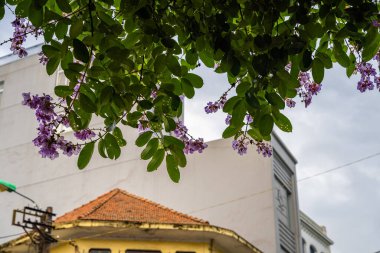 Hanoi Eski Mahallesi 'ndeki sokak hayatı ve dükkanların manzarası. Yürüyen cadde. Ha Noi Vietnam 'ın başkentidir..