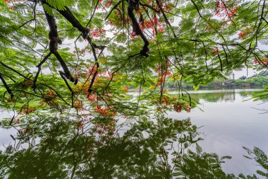 Hanoi, Vietnam - 26 Haziran 2024: Hoan Kiem Gölü veya Kılıç Gölü, Ho Guom Hanoi, Vietnam 'da Kaplumbağa Kulesi ile açık bir günde mavi gökyüzü ve beyaz bulutlar