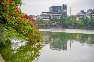 Hanoi, Vietnam - 26 Haziran 2024: Hoan Kiem Gölü veya Kılıç Gölü, Ho Guom Hanoi, Vietnam 'da Kaplumbağa Kulesi ile açık bir günde mavi gökyüzü ve beyaz bulutlar