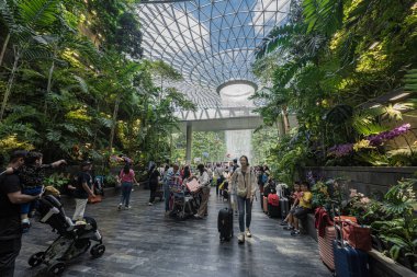 Singapur - 13 Haziran 2024: The Rain Vortex, Singapur 'daki Jewal Changi Havalimanı' nın içinde 40 metre yüksekliğinde bir kapalı şelale. Seyahat kavramı