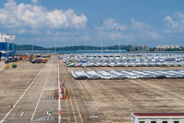 Singapur - 13 Haziran 2024: Konteyner terminali, vinç ve konteyner gemileri, Singapur, Güneydoğu Asya