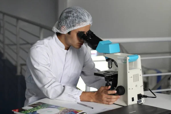 young male scientist working in laboratory