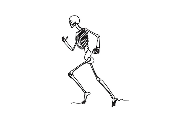 Esqueleto Humano Correr Desenho Uma Linha Esqueleto Humano — Vetor de Stock