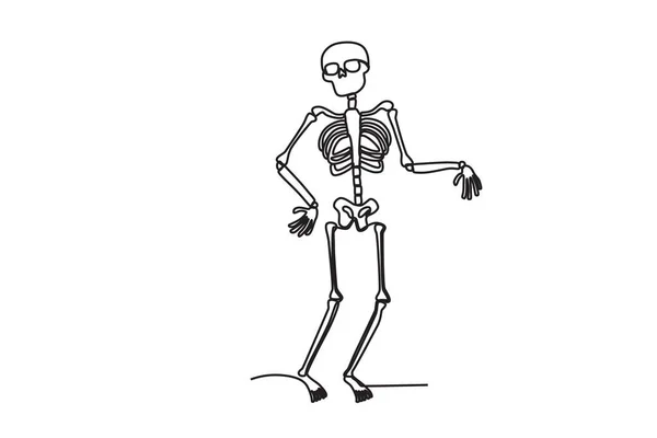 Иллюстрация Человеческого Скелета Однолинейный Рисунок Скелета Человека — стоковый вектор