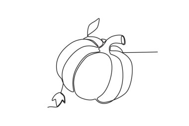 Yaprakları olan bir balkabağı. Şükran Günü çizimleri