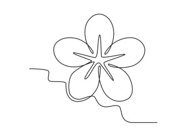 Baharda güzel bir kiraz çiçeği. Kiraz çiçeğinin tek sıra çizimi