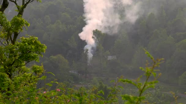 このビデオは 緑豊かな木々に囲まれた山から立ち上がる煙の巨大な塊についてです 煙は上向きに吹いており 青空に対して劇的な効果を生み出しています — ストック動画