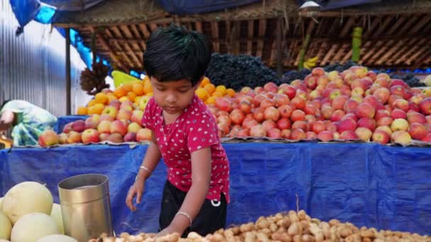 Este Vídeo Sobre Criança Pequena Colocando Sementes Amendoim Loja Frutas — Vídeo de Stock