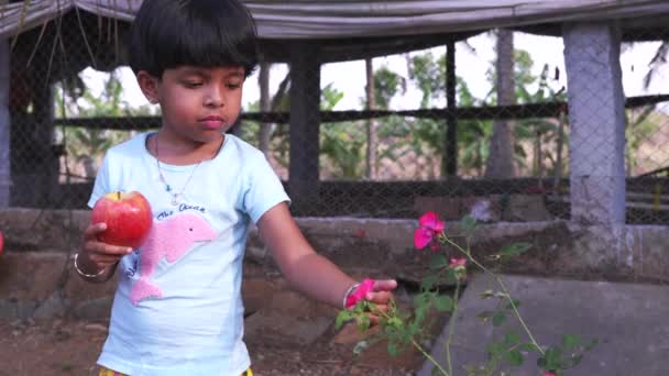 このビデオは子供が植物からバラの花を取り除くことについてです — ストック動画