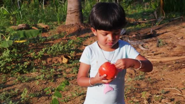 Videó Kid Peal Ről Almáról Szól — Stock videók