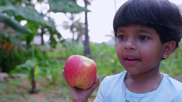 Videó Arról Szól Hogy Kölyök Almát Tart Rázza Fejét Eszik — Stock videók