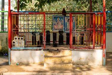 Bu büyüleyici görüntüde, Güney Hindistan tapınağının önemli bir figürü olan saygı duyulan bir yılan tanrısı heykeli sergileniyor.