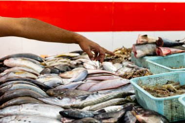 Karizmatik bir balıkçı, canlı deniz ürünleri tezgahlarına dikkat çekmek için parlak bir balık tutuyor.