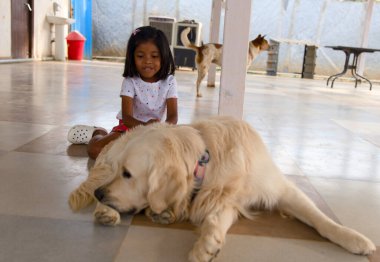 Pofuduk Golden Retriever köpeği neşeyle kovalarken kıkırdayan parlak gözlü genç bir kız.