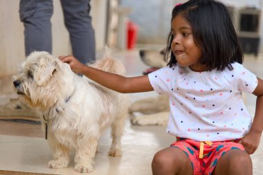 Zevkle dolu genç bir kız, tüylü beyaz Malta köpeğiyle eğlenceli bir ilişkiye girer.