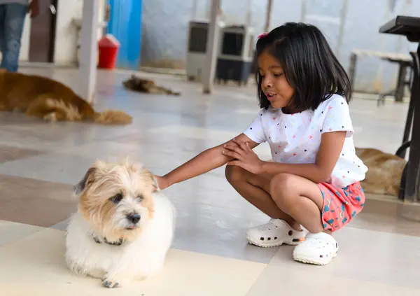 A young Asian girl laughs with delight as she interacts with her adorable dog