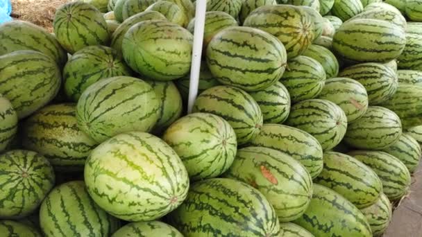 Överflödande Uppvisning Vattenmeloner Staplade Högt Gata Försäljarens Stall Spricker Sommar — Stockvideo
