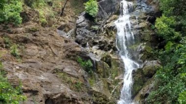 Vibhooti Şelalesinin sihrini keşfedin. Gokarna 'da canlı yeşilliklerle çevrili büyüleyici bir şelale.