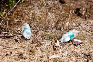 Bu görüntü 17 Mayıs 2024 'te Gokarna City, Karnataka Country India' dan..