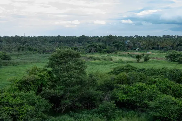 stock image A vibrant landscape showcases thick greenery and various trees, set against a backdrop of cloudy skies. The scene captures the essence of a tranquil tropical environment.