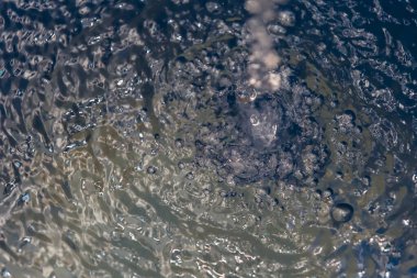 Dalgalanma ve baloncuklu soyut su dokusu, doğa veya arka plan kullanımı için mükemmel.