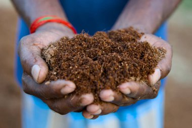 Sert, nasırlı eller nazikçe yeni bir hayata hazır zengin ve bereketli bir toprak yığını oluşturur..