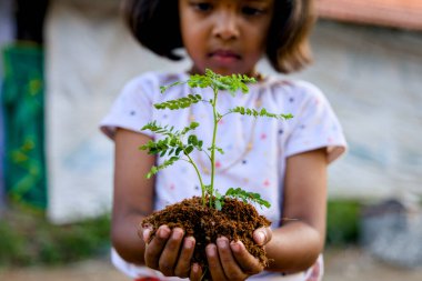 Genç kız büyümeyi, ilgiyi ve daha parlak bir geleceği temsil eden narin bir bitki tutuyor..