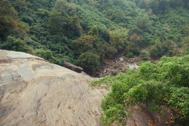 Görkemli bir şelalenin yemyeşil bir ormanın ortasında bir dağ yamacından aşağı yuvarlandığı nefes kesici bir manzara.