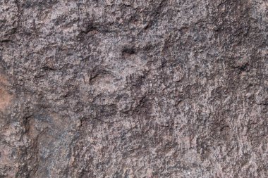 Bir kaya yüzeyinin karmaşık dokusunu ve desenlerini gösteren yakın plan bir fotoğraf..