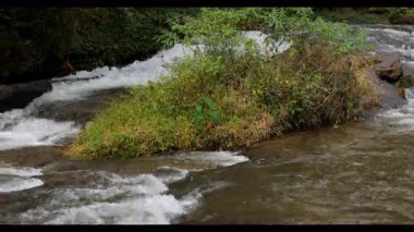 Temiz su, akarsuları çevreleyen yemyeşil yemyeşil verimli doğal bir ortamda kayaların üzerine dökülür..