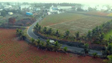 Bir hava aracı videosu, verimli tarım arazileri, dolambaçlı yolları, dağınık palmiye ağaçları ve huzurlu bir köyü olan kırsal kesimin videosunu gösteriyor..