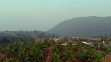 Hindistan 'da sabahın erken saatlerinde yumuşak bir sis altında verimli palmiye ağaçları uzak tepelerle kaplıdır..