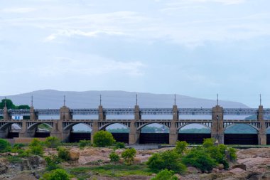 Taştan bir köprü nehri çevreci ağaçların ve yuvarlanan tepelerin arasında, bulutlu bir gökyüzünün altında, kırsal güzellikleri gözler önüne seriyor..