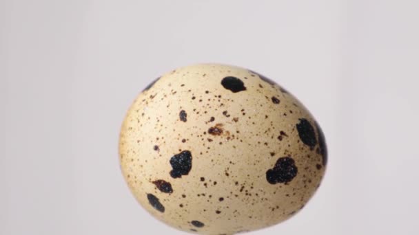 Rotação Ovos Codorna Fundo Branco Conceito Alimentação Saudável — Vídeo de Stock