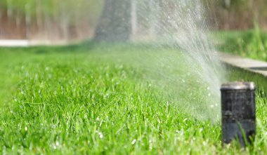 Güneşli bir günde yemyeşil çimenleri sulayan bir su püskürtücü.