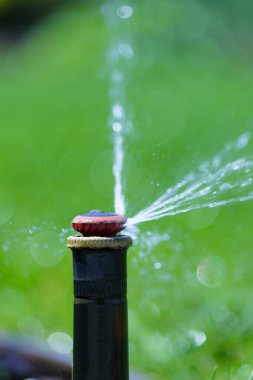 Ev bahçesindeki sulama sistemi. Yeşil çimenleri sulayan otomatik çim püskürtücü. Seçici odak