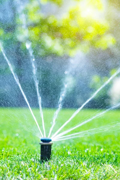 自宅の庭で灌漑システム 緑の草に散水自動芝生スプリンクラー 選択的焦点 — ストック写真