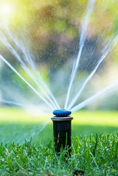 自宅の庭で灌漑システム 緑の草に散水自動芝生スプリンクラー 選択的焦点 — ストック写真