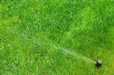 Ev bahçesindeki sulama sistemi. Yeşil çimenleri sulayan otomatik çim püskürtücü. Seçici odak