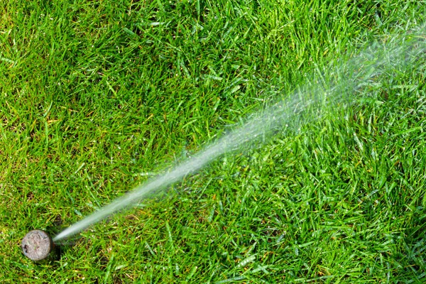 Irrigation System Home Garden Automatic Lawn Sprinkler Watering Green Grass — Stock Photo, Image