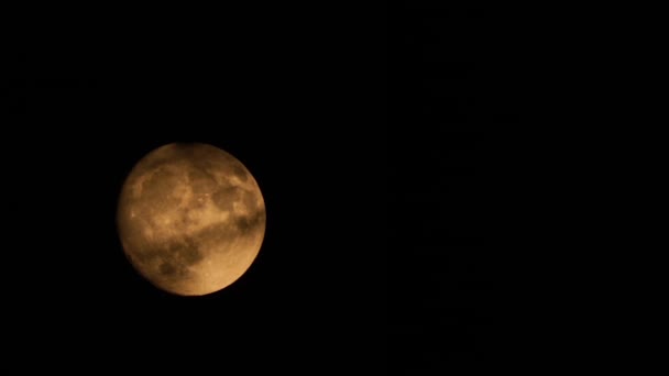Lua Cheia Noite Esconde Atrás Nuvem — Vídeo de Stock