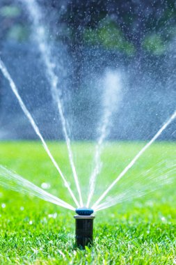 Ev bahçesindeki sulama sistemi. Yeşil çimenleri sulayan otomatik çim püskürtücü. Seçici odak