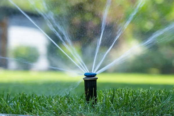 Irrigation System Home Garden Automatic Lawn Sprinkler Watering Green Grass — Stock Photo, Image