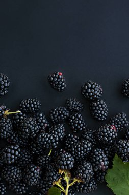 Siyah arka planda taze olgun böğürtlenleri kapatın..