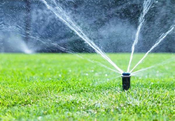 Irrigation System Home Garden Automatic Watering Lush Green Lawn Selective — Stock Photo, Image