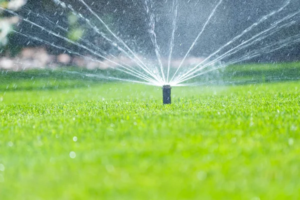 家の庭の灌漑システム オートウォーターラッシュグリーン芝生 選択的なフォーカス — ストック写真