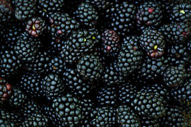 Arka plan olarak taze olgun böğürtlenleri kapatın. Üst Manzara Düz Yat.